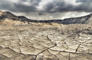 Barren land